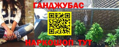 дмт Бийск